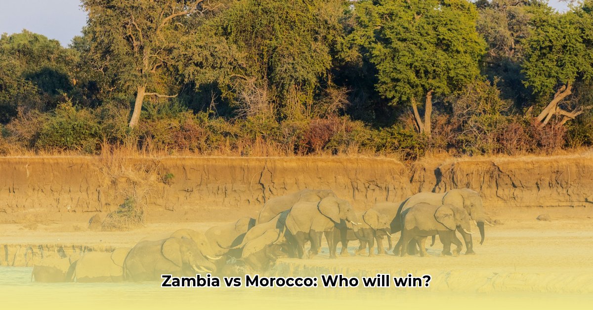 zambia-vs-morocco-today